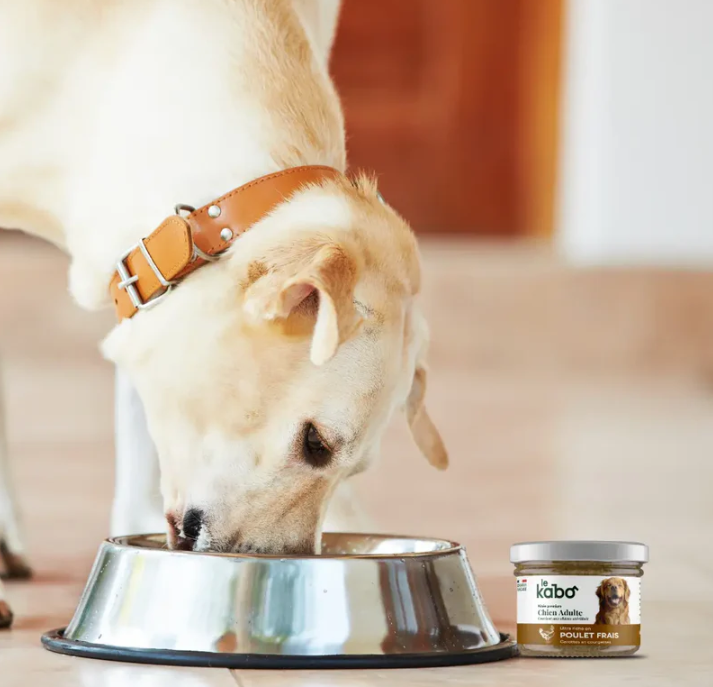 La Pâtée Poulet Frais