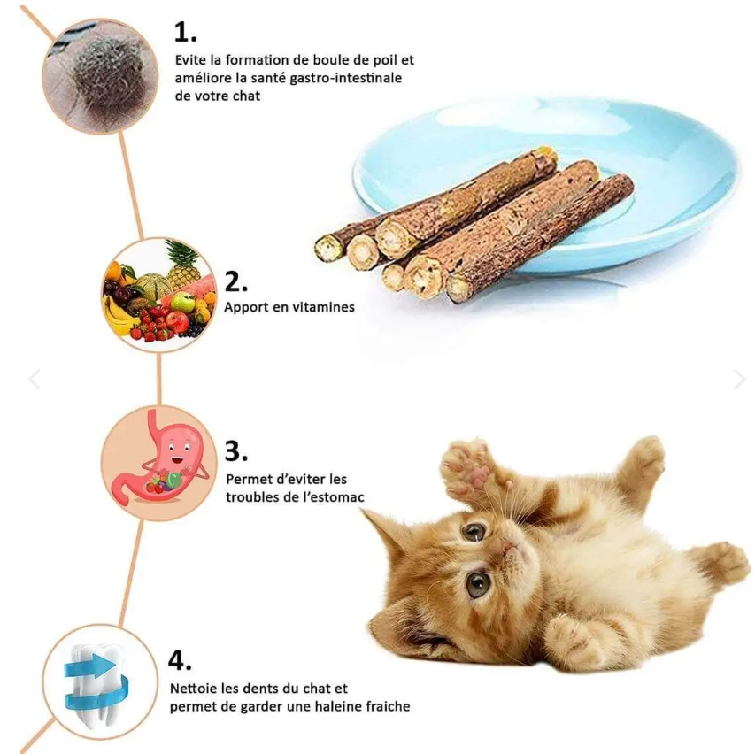 Le bâton de Matatabi