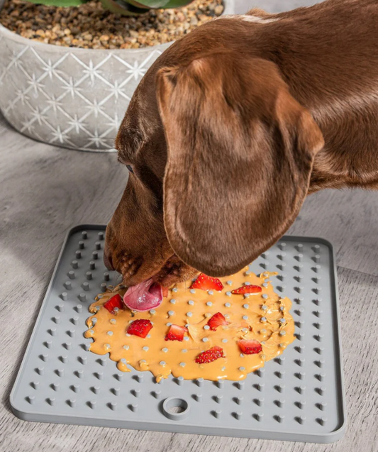 La Papâte à Tartiner