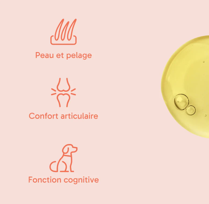 L'Huile de Truite Omega Plus