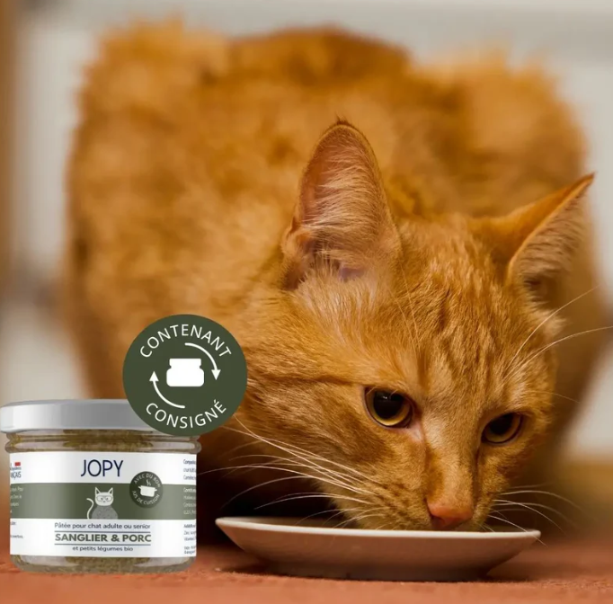 La Pâtée Porc & Sanglier