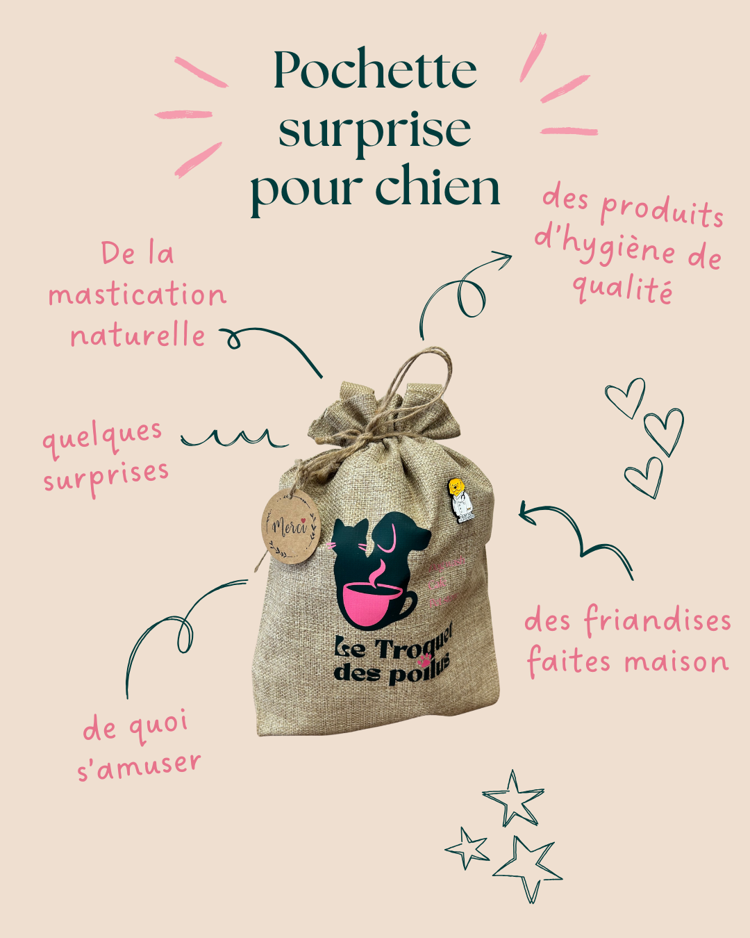 POCHETTE SURPRISE pour chien