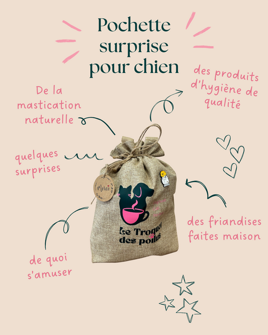 POCHETTE SURPRISE pour chien
