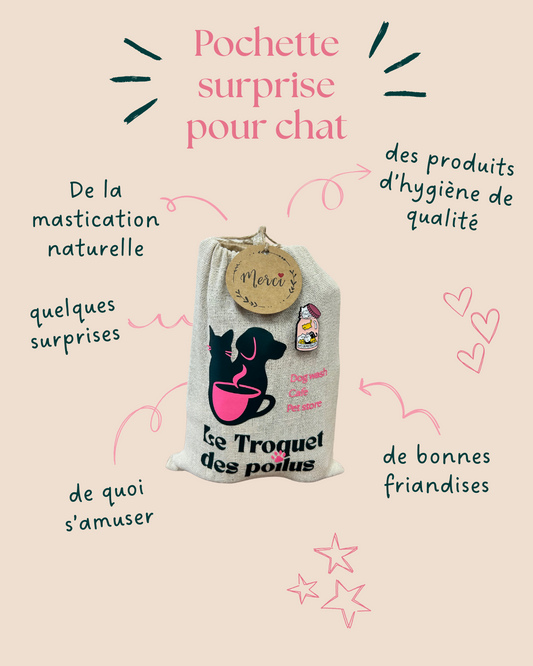 POCHETTE SURPRISE pour chat